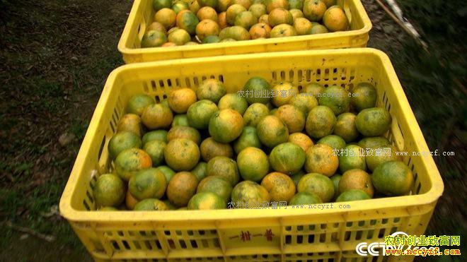 ����һ������ Ҳ��һ�Ź��� ׬��