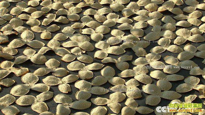 ����һ������ Ҳ��һ�Ź��� ׬��