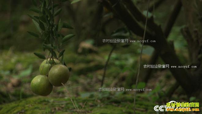 ����һ������ Ҳ��һ�Ź��� ׬��