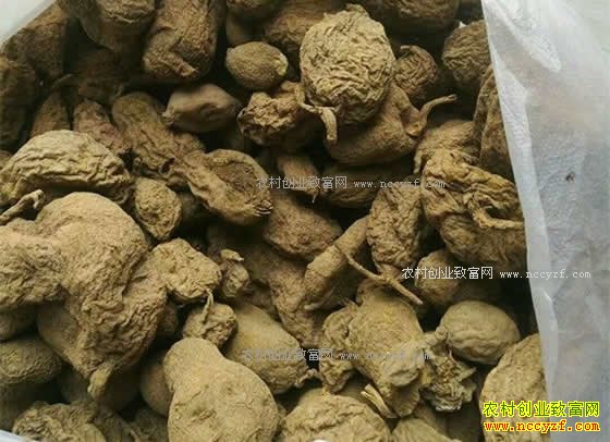 2018����魼۸�����Ԥ�⼰��ֲǰ������