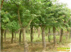 ��ֲ��Ƿ�׬Ǯ����Ƿ�δ�����鿴��