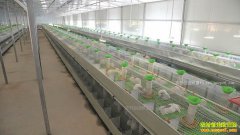 �Ĵ�ͨ�������������ӡ��ġ������ҵ��ũ��ƶ�¸�