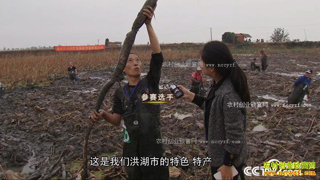 ��ѧ��ҵ��ɶ��׬����