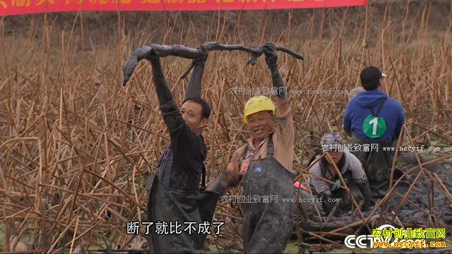 ��ѧ��ҵ��ɶ��׬����