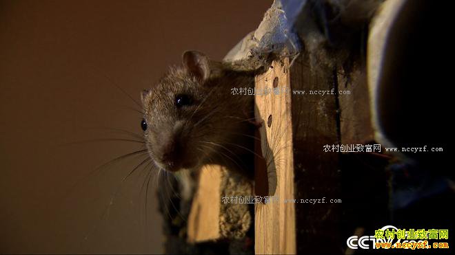 ��ѧ��ҵ��ɶ��׬����