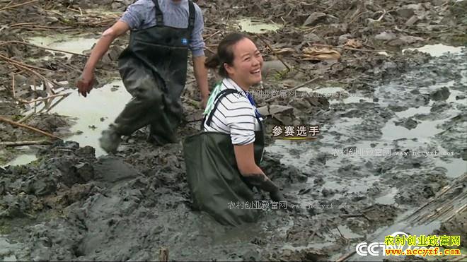 ��ѧ��ҵ��ɶ��׬����