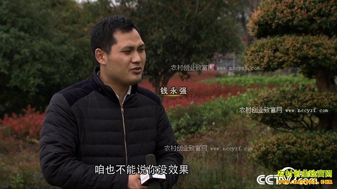 [�¸���]�㶫�»�ƽ���ӹ���Ƥ׬Ǯ������5000��