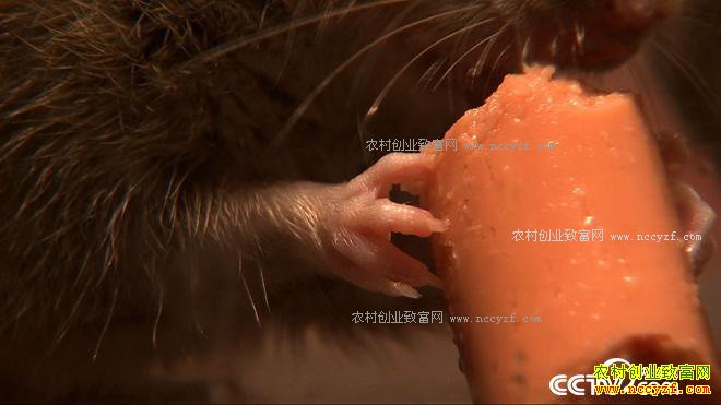 ��ѧ��ҵ��ɶ��׬����