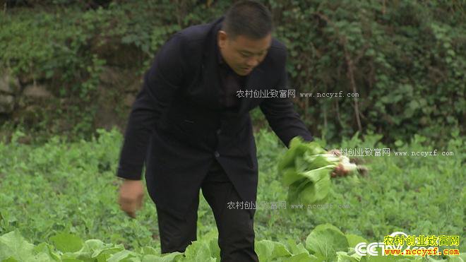 [�¸���]�����ʻ���Զ���ʯ�������̬ũҵ�Ƹ�����