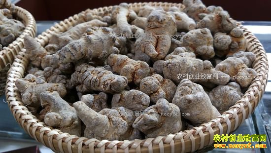 ������ɽ���߼۸�����