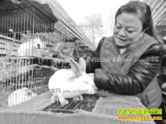 ɽ��������С�����������������3��Ԫ