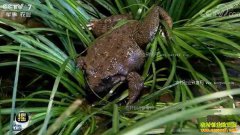 [ÿ��ũ��]�����»�����������Ϊɶ��׬Ǯ