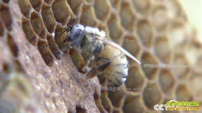 ��������� ���ܽ���ɽ��ʲô����4000��