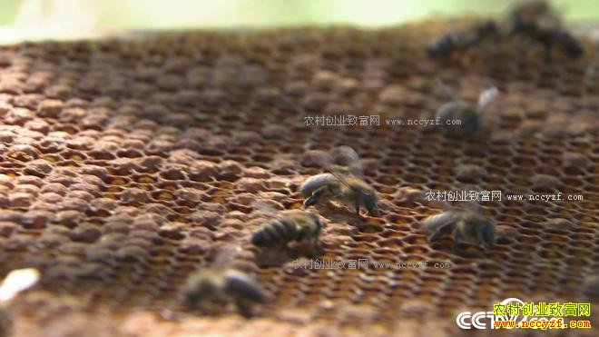 ��������� ���ܽ���ɽ��ʲô����4000��