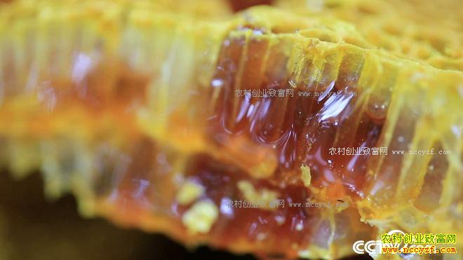 ��������� ���ܽ���ɽ��ʲô����4000��