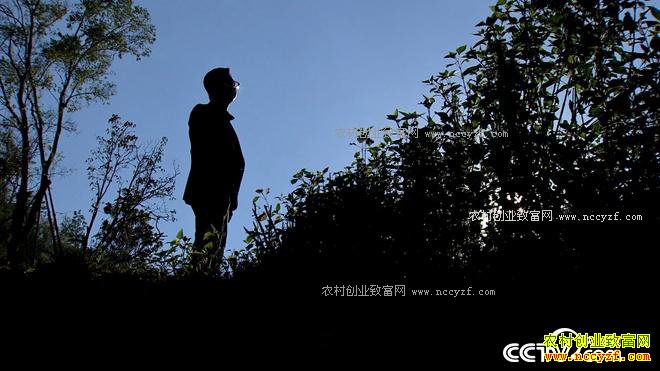 ��������� ���ܽ���ɽ��ʲô����4000��