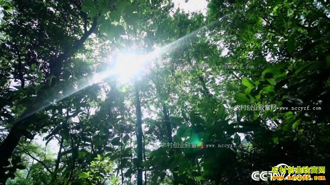 ��������� ���ܽ���ɽ��ʲô����4000��