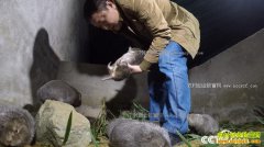 [�¸���]�Ĵ�ƽ�����ѿ�������ɽ������ʵ�ֲƸ���ת