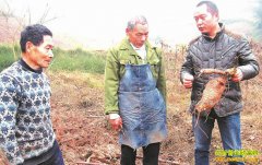 �Ĵ������ޱ���ֲ�������һ������