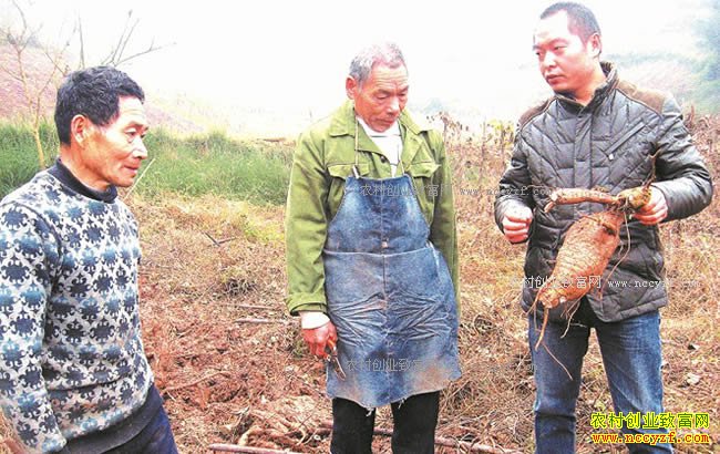 �ޱ�v��һ�w����Ա����������ע������