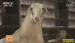 [ÿ��ũ��]���Ӷ���ĺ����׬Ǯ