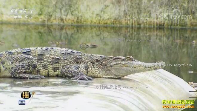 [ÿ��ũ��]һ�ٶ�������� 20180115