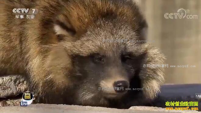 [ÿ��ũ��]�ӱ����������������ӱ���ĲƸ�����