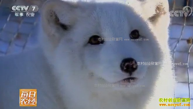 [ÿ��ũ��]������ı�������׬Ǯ 20180117