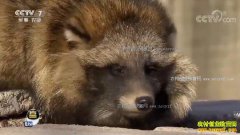 [ÿ��ũ��]�ӱ����������������ӱ���ĲƸ�����