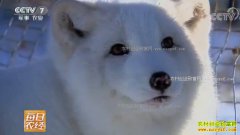 [ÿ��ũ��]��ֳ������ı�������׬Ǯ