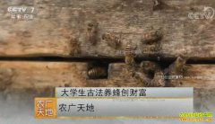 [ũ�����]�������ش�ѧ�����峬�ŷ����۷䴴��Ƹ�