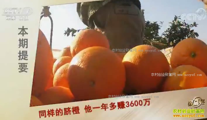 [�¸���]ͬ������� ��������С�������һ���׬3600��