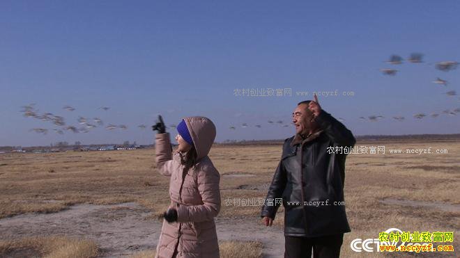 �����󺺵����� ǧ��Ƹ����Ϸ�