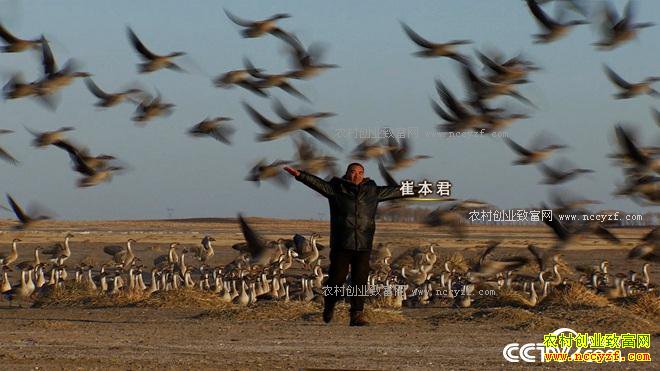 �����󺺵����� ǧ��Ƹ����Ϸ�