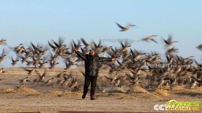 �����󺺵����� ǧ��Ƹ����Ϸ�