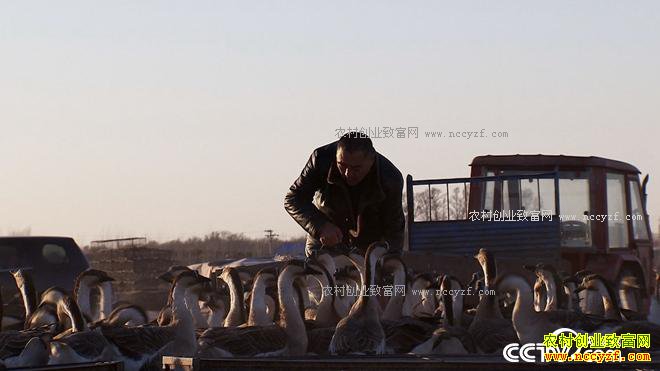 �����󺺵����� ǧ��Ƹ����Ϸ�