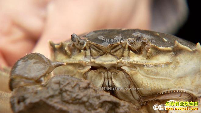 ���з����ɽ���ϵ�90��Ů��