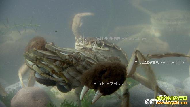 [�¸���]������¡90��Ů����ϼ���з����ɽ����