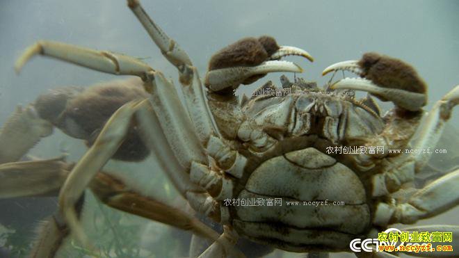 ���з����ɽ���ϵ�90��Ů��