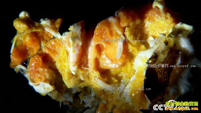 ���з����ɽ���ϵ�90��Ů��