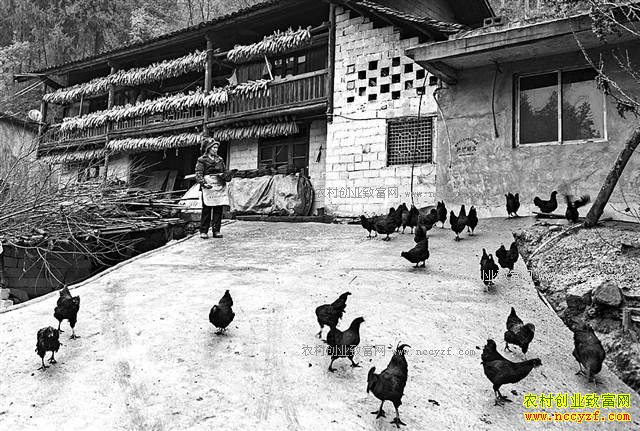 ����ǭ������������������������Ԫ