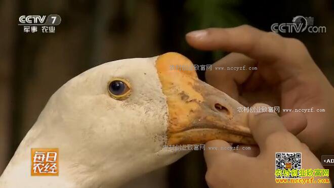 [ÿ��ũ��]����������Ȫ���¸�����Ѱ��·