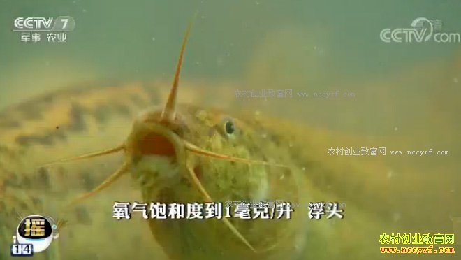 [�Ƽ�Է]�����������ɼ� 20180109