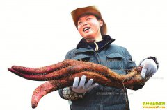 �Ĵ�������л���ִ�����������������ɽҩЧ���ÿĶ����5000Ԫ