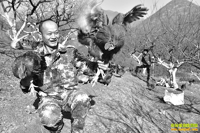 �㽭���������������¸���