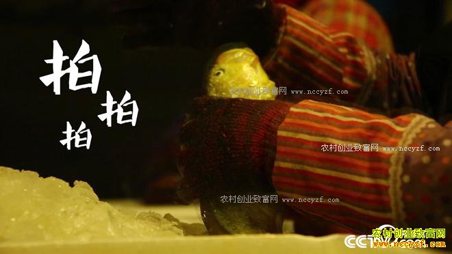 ���첻ֵǮ ����һ��ֵ����