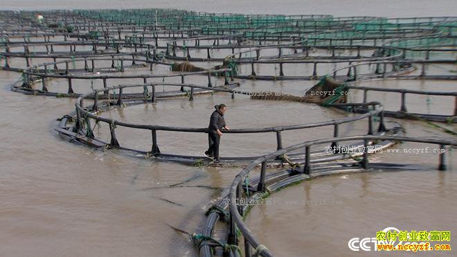 ���첻ֵǮ ����һ��ֵ����