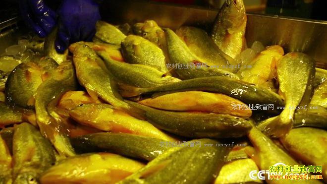 ���첻ֵǮ ����һ��ֵ����