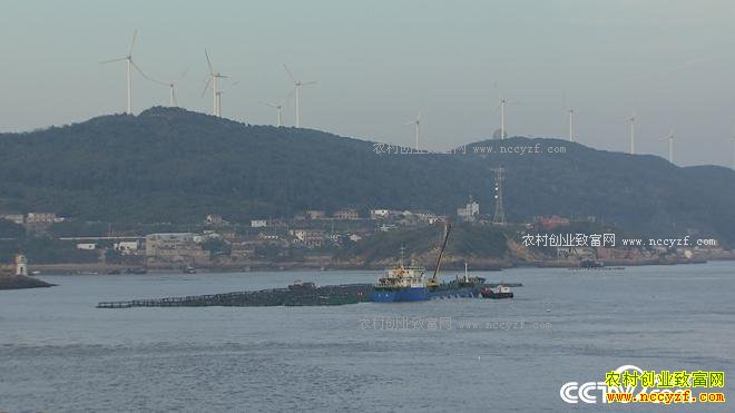 ���첻ֵǮ ����һ��ֵ����