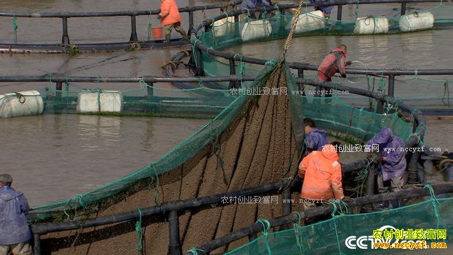 ���첻ֵǮ ����һ��ֵ����